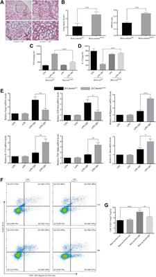 Qi-Dong-Huo-Xue-Yin balances the immune microenvironment to protect against LPS induced acute lung injury